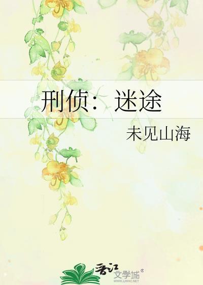 刑侦迷途未见山海TXT
