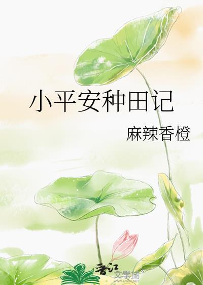 小平安种田记格格党