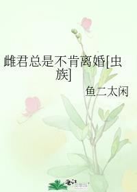 先生总是不肯离婚