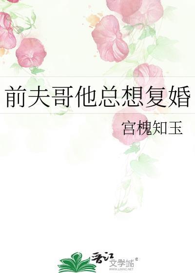 前夫总想和我复婚全文免费阅读