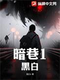 暗巷生欢txt