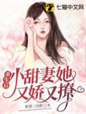 重生小甜妻又暖