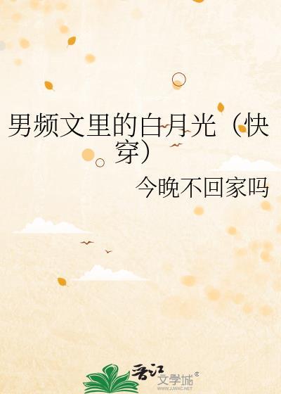 男频文简介