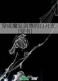穿成魔尊怎么破在线阅读