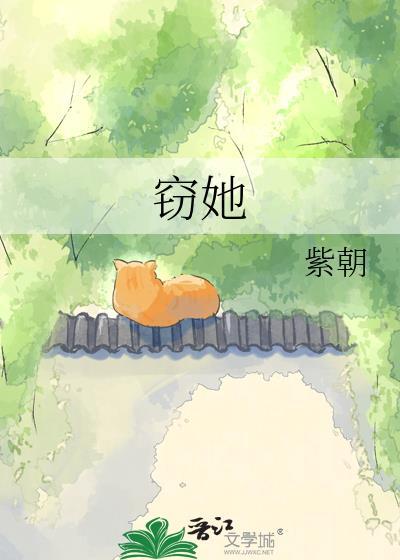 窃她电视剧免费播放在线观看