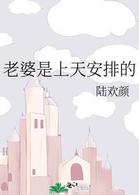 老婆是上天安排的百度