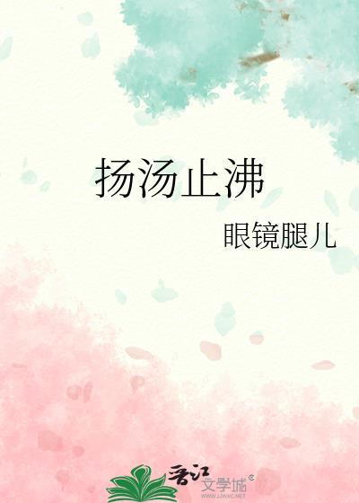 扬汤止沸的汤的意思