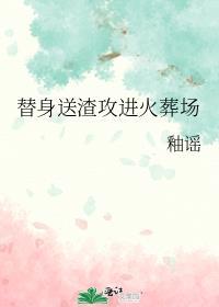 完美婚配笑佳人百度