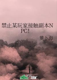 禁止某玩家接触副本npc晋江