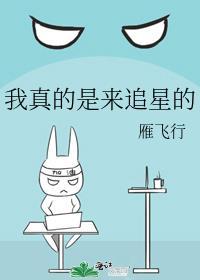 我真的是来追星的by雁飞行