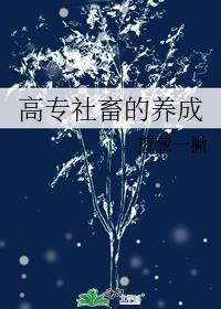 社畜都是什么工作