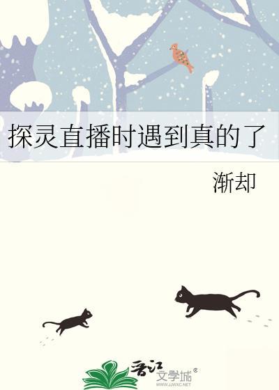 探灵直播时遇到真的了 渐却