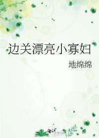 边关漂亮小寡妇最新更新内容预告