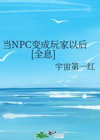 npc变成玩家的动漫