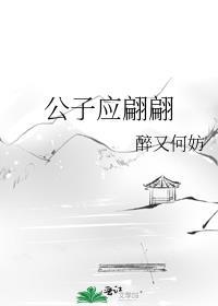 公子应翩翩晋江
