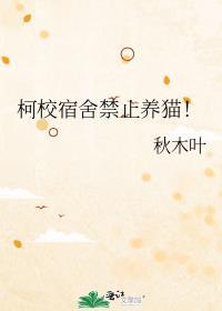 学校宿舍不让养猫怎么办