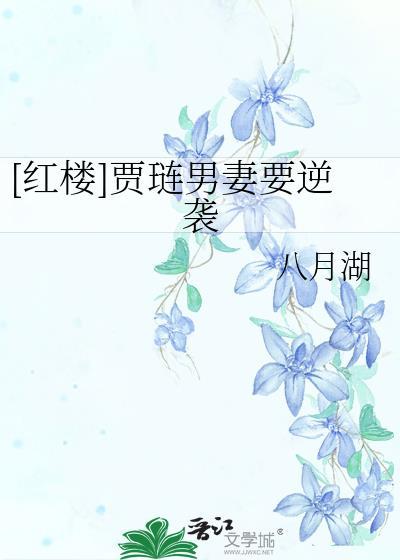 贾琏有男宠吗