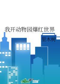 我开动物园爆红世界17