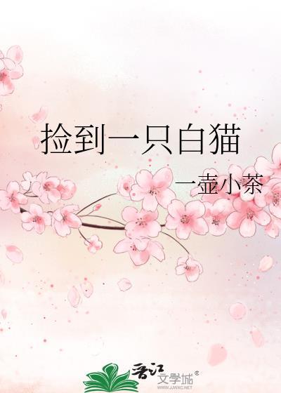 捡到一只白猫头上有黑毛预示着什么