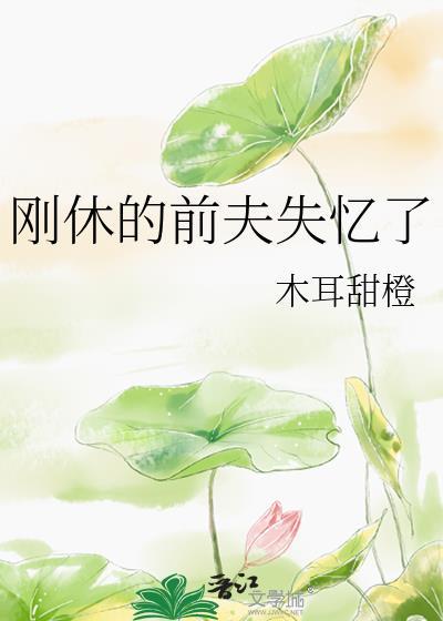 离婚后我前夫失忆了