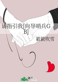 请指引我[向导哨兵GB]