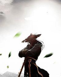 [三国]我，呼风唤雨