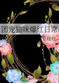 团宠猫咪爆红日常