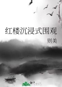 红楼沉浸式围观