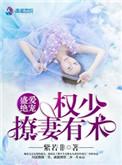 盛爱绝宠:权少撩妻有术
