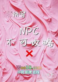 NPC不可攻略